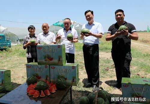 广州市吃瓜影视娱乐公司,打造潮流娱乐新地标 第2张 广州市吃瓜影视娱乐公司,打造潮流娱乐新地标 第2张
