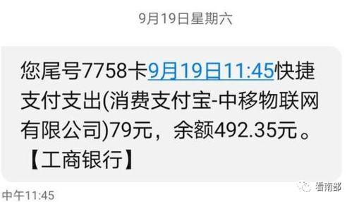 新平果市民最新爆料